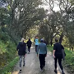 Quinta Mourada לינה וארוחת בוקר