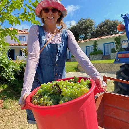 Bed and breakfast Quinta Mourada São Bartolomeu