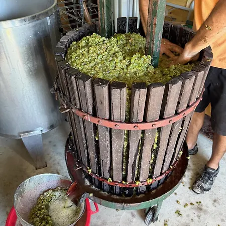 Bed and breakfast Quinta Mourada