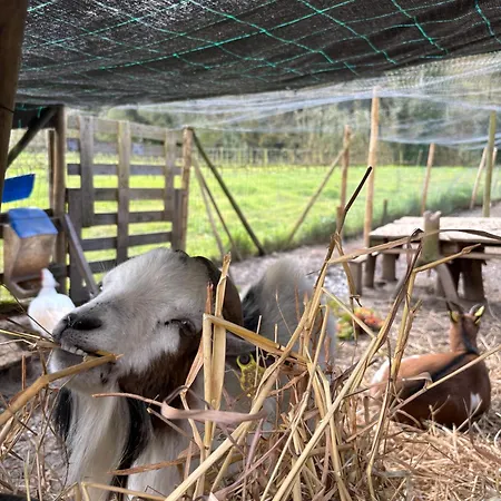 Quinta Mourada São Bartolomeu