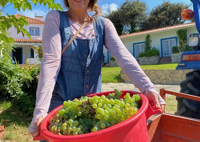 לינה וארוחת בוקר Quinta Mourada São Bartolomeu